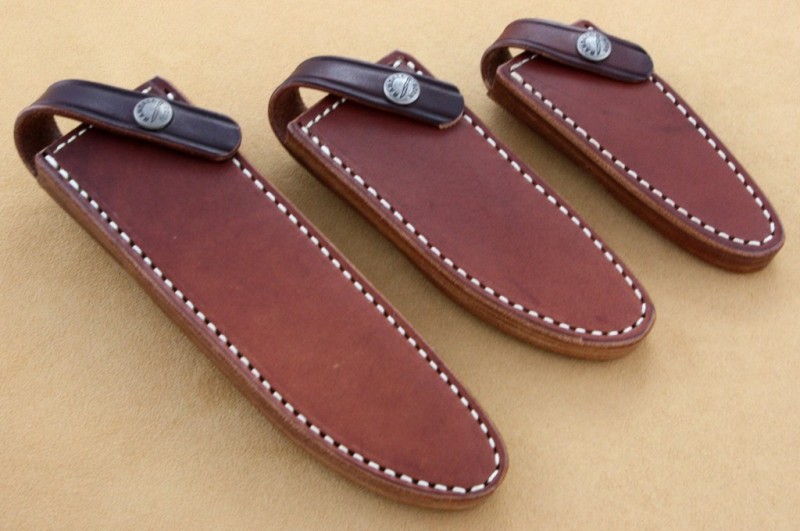 Hi-ride sheaths; Sept. 2010 001.jpg Hi-ride sheaths; Sept. 2010 001.jpg